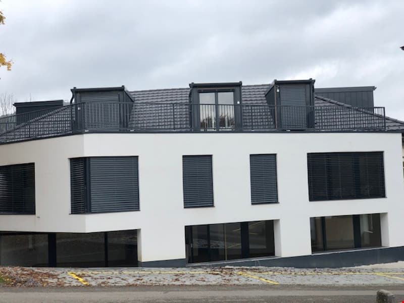Moderne 2-Zimmer-Wohnung mit Balkon in Beinwil am See – ab sofort verfügbar (11)
