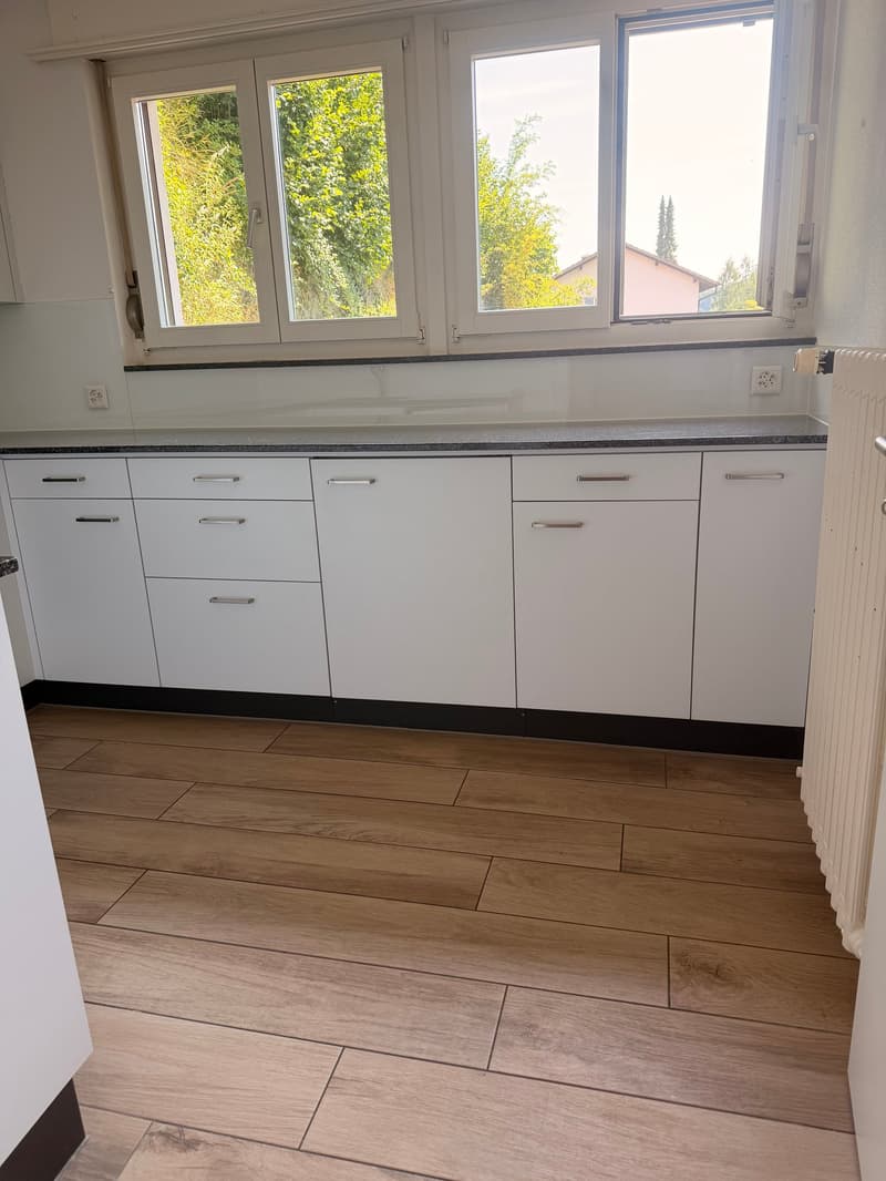 Charmante 3.5-Zimmer-Wohnung mit Balkon und schöner Aussicht in Luzern (7)