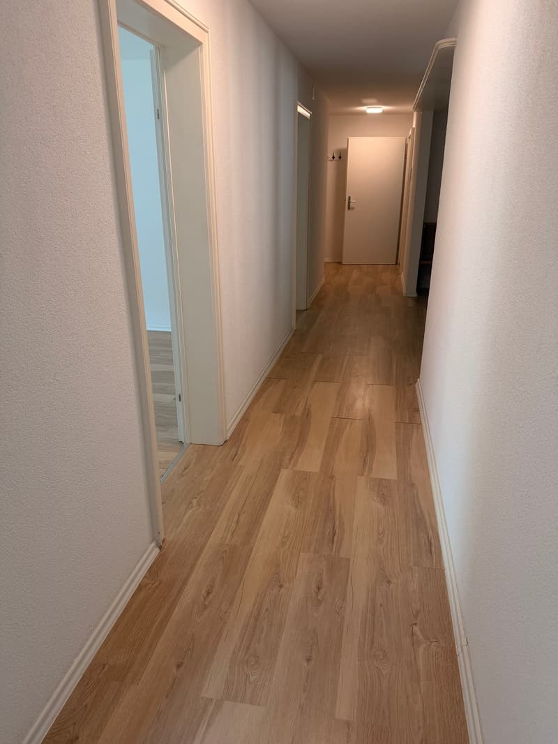 Charmante 3.5-Zimmer-Wohnung mit Balkon und schöner Aussicht in Luzern (2)