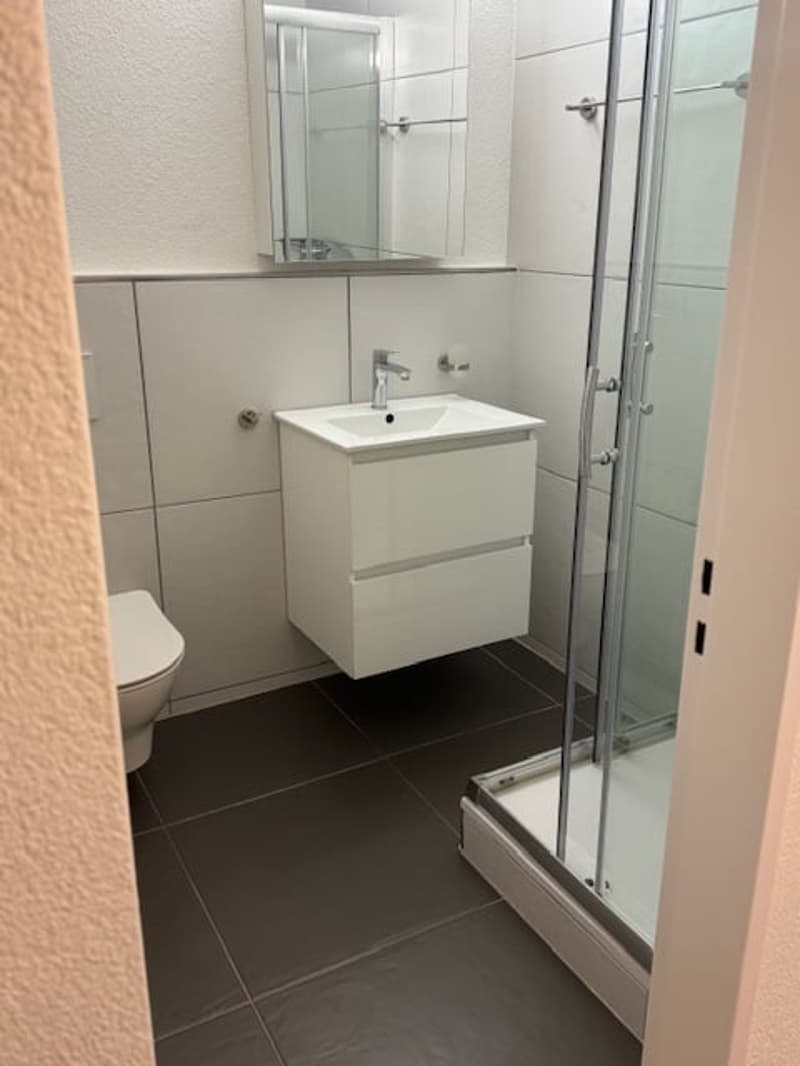 Moderne 1.5-Zimmer-Wohnung mit Balkon in Wolhusen (2)