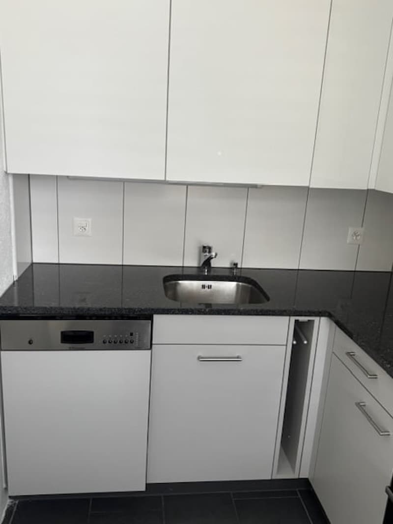 Stainless steel sink, faucet, dishwasher, white cabinets, black countertops, power outlets, gray tiles