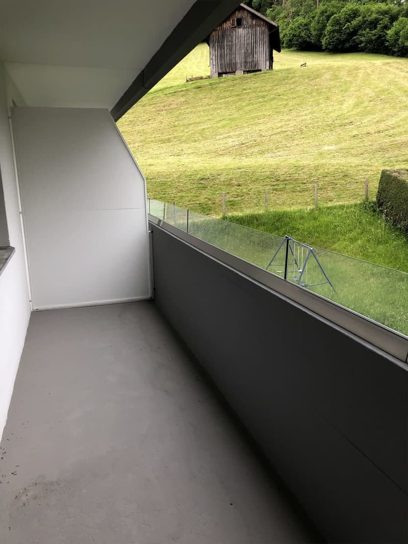 Gemütliches 1-Zimmer-Apartment mit Balkon in Wattwil – sofort verfügbar (7)