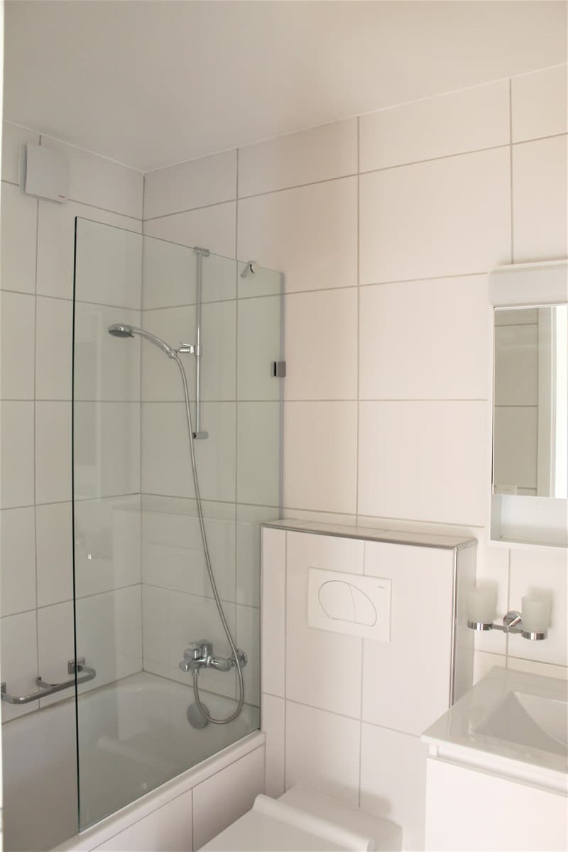 Gemütliches 1-Zimmer-Apartment mit Balkon in Wattwil – sofort verfügbar (6)