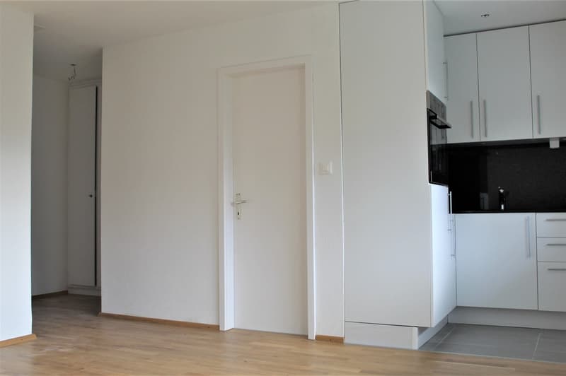 Gemütliches 1-Zimmer-Apartment mit Balkon in Wattwil – sofort verfügbar (4)