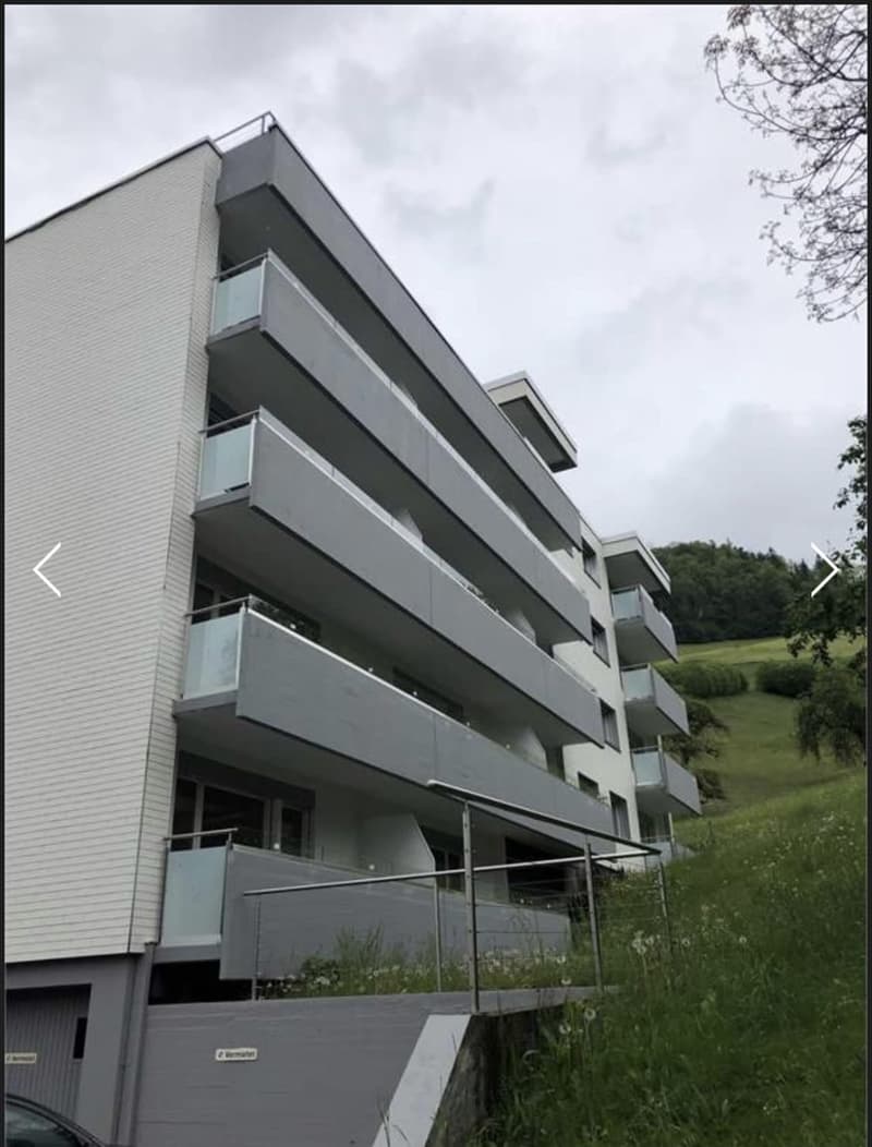 Gemütliches 1-Zimmer-Apartment mit Balkon in Wattwil – sofort verfügbar (10)
