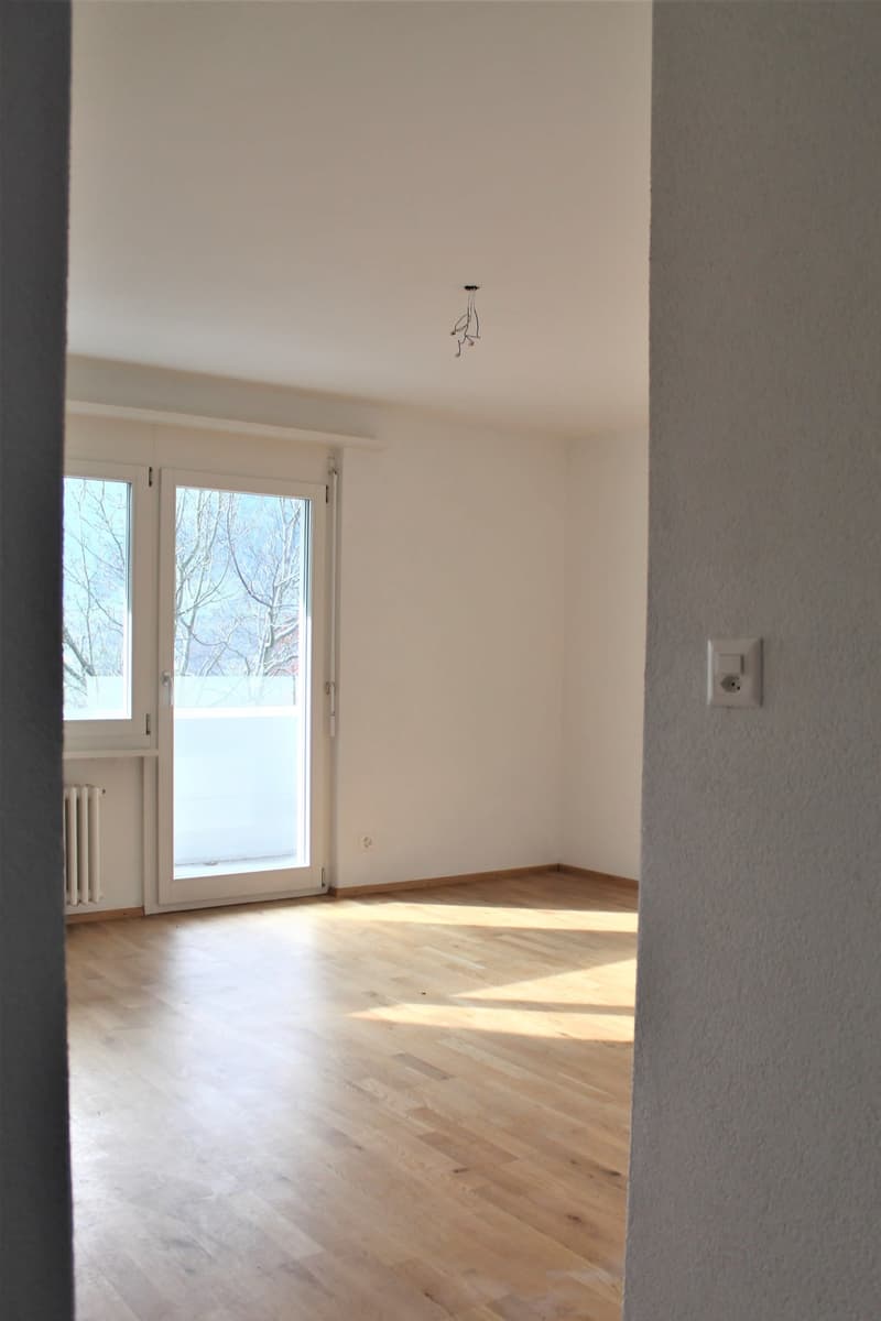Gemütliches 1-Zimmer-Apartment mit Balkon in Wattwil – sofort verfügbar (5)