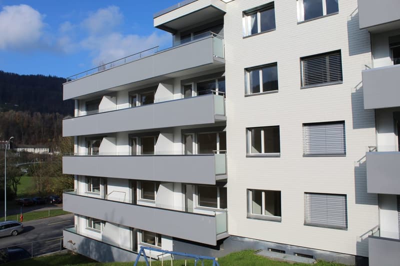 Gemütliches 1-Zimmer-Apartment mit Balkon in Wattwil – sofort verfügbar (1)