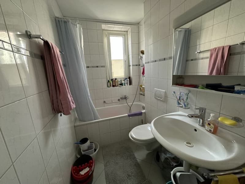 Parcs 153, 3 Zimmer im Ostgrund (3)