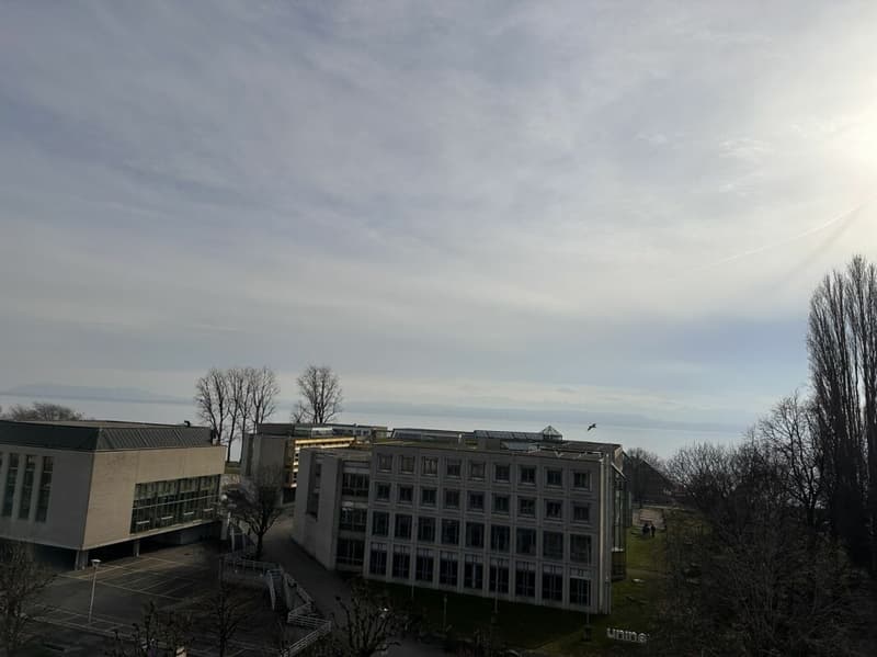 RESERVE - Magnifique appartement de 6 pièces au dernier étage d'un immeuble de caractère - Rue Edouard-Desor 3 à Neuchâtel (10)