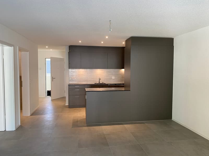 Modern 2.5-room apartment with 19.5 m² balcony in the heart of Flüh (4)