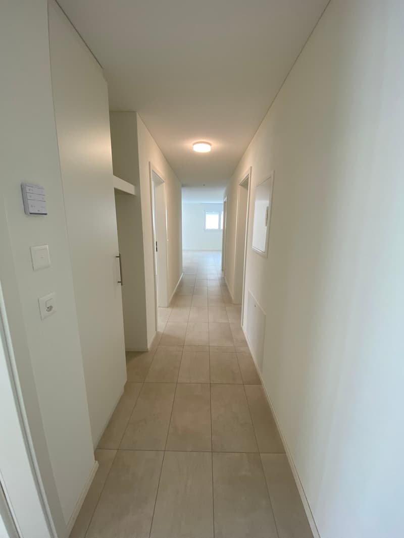 3.5 Zimmer Attika Wohnung (15)