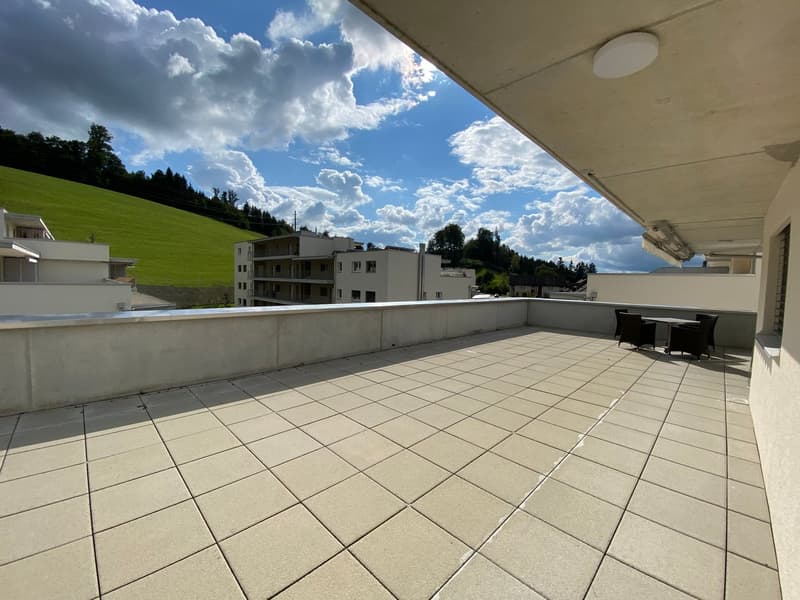3.5 Zimmer Attika Wohnung (5)