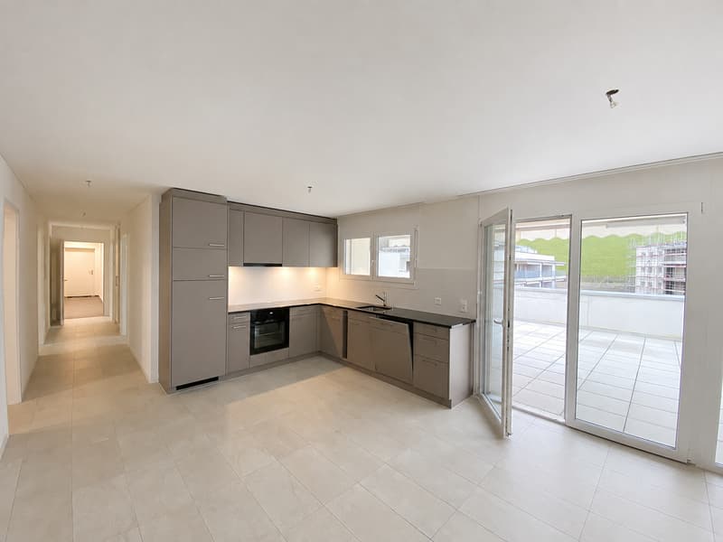 3.5 Zimmer Attika Wohnung (1)