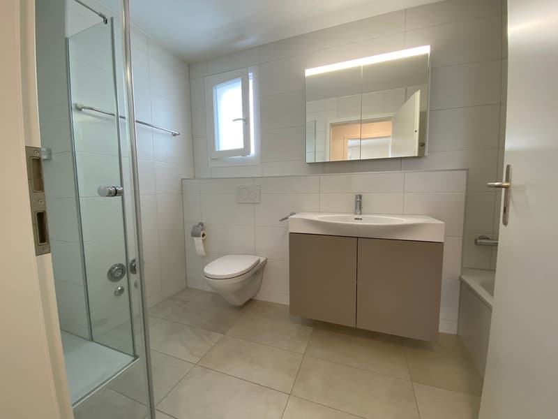 3.5 Zimmer Attika Wohnung (9)