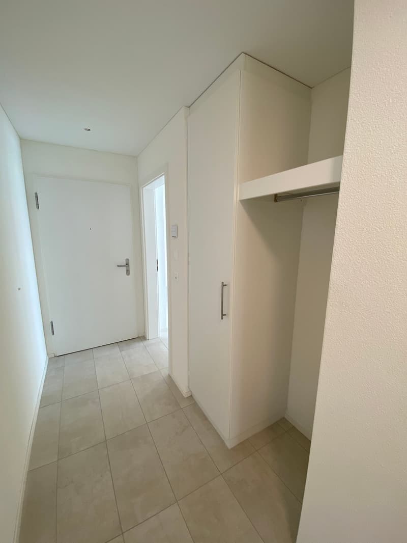 3.5 Zimmer Attika Wohnung (14)