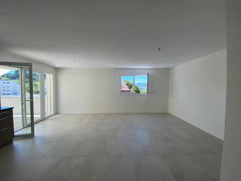 3.5 Zimmer Attika Wohnung (8)