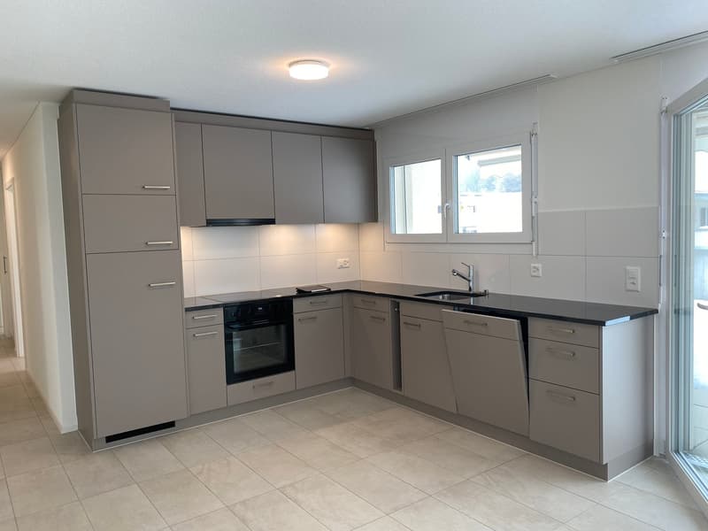 3.5 Zimmer Attika Wohnung (6)