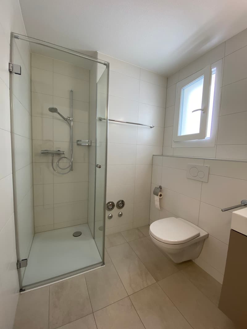 3.5 Zimmer Attika Wohnung (10)
