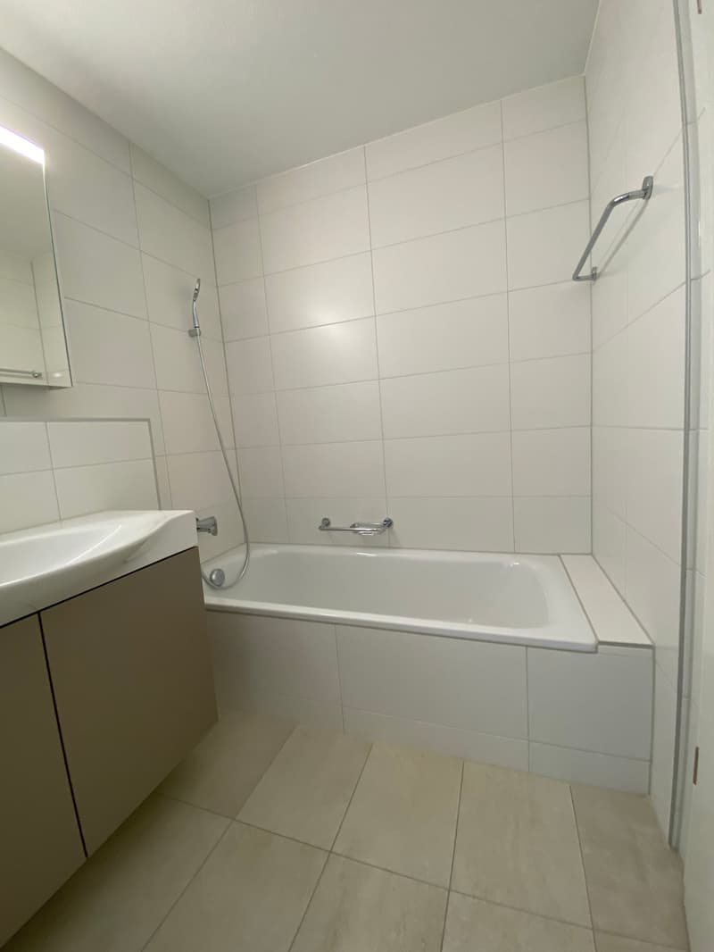 3.5 Zimmer Attika Wohnung (11)