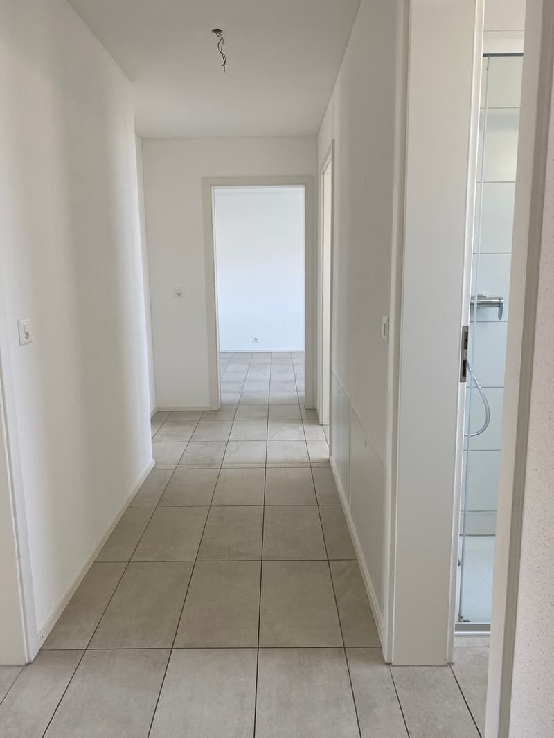 4.5 Zimmer Attika Wohnung (15)