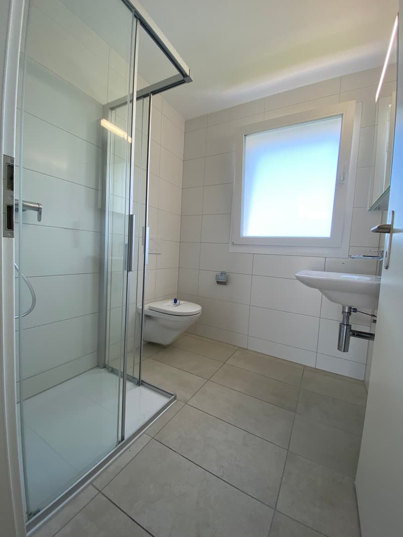4.5 Zimmer Attika Wohnung (10)