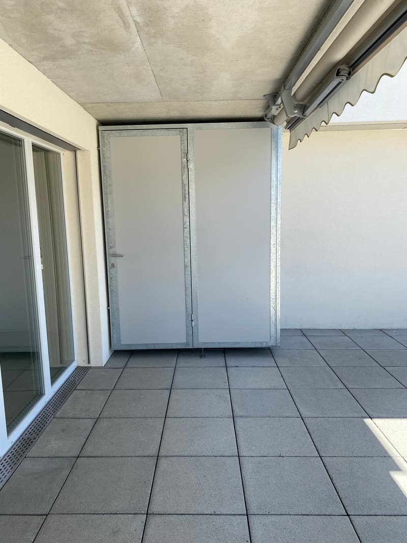 4.5 Zimmer Attika Wohnung (17)
