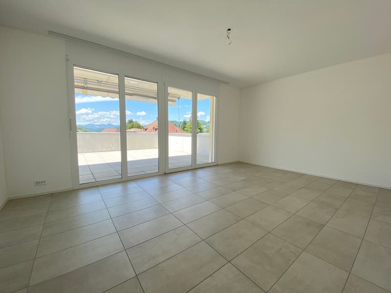 4.5 Zimmer Attika Wohnung (12)