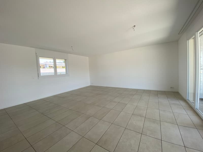 4.5 Zimmer Attika Wohnung (9)