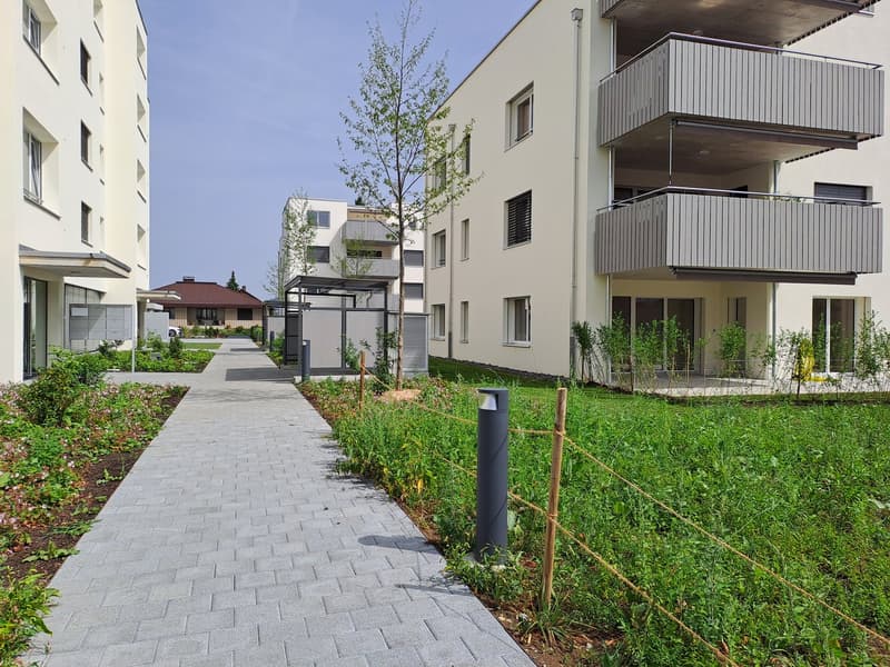 3.5-Zimmer-Attikawohnung im LEON Schötz (11)