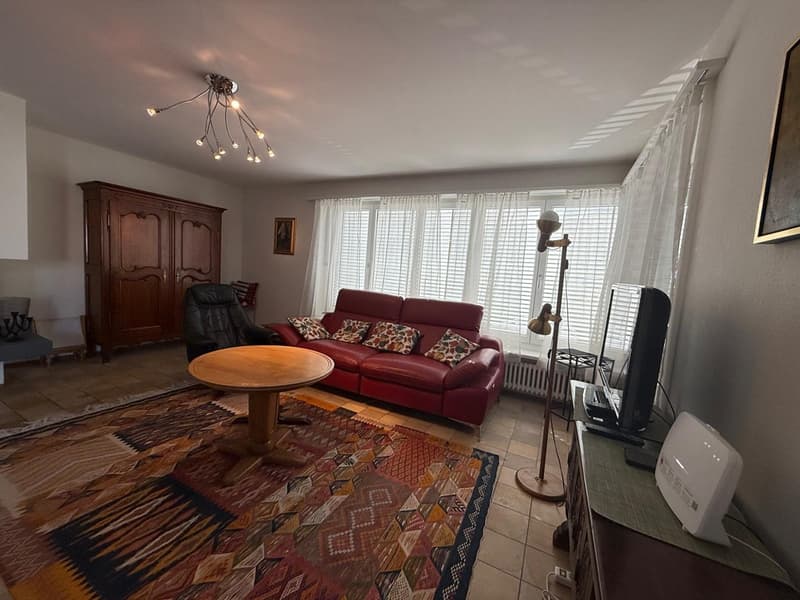 Red leather couch, wooden coffee table, wooden cabinet, radiator, floor lamp, windows, large rug