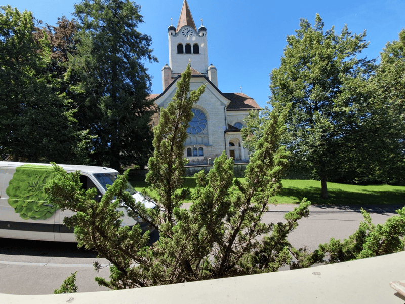 Blick direkt von der Wohnung ins Grüne zur benachbarten Kirche