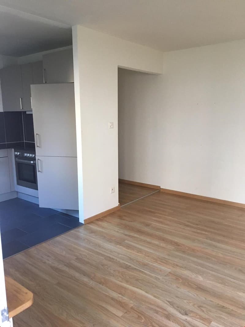 Grosszügiger Wohnraum mit Platz für eine grosse Sofaecke
