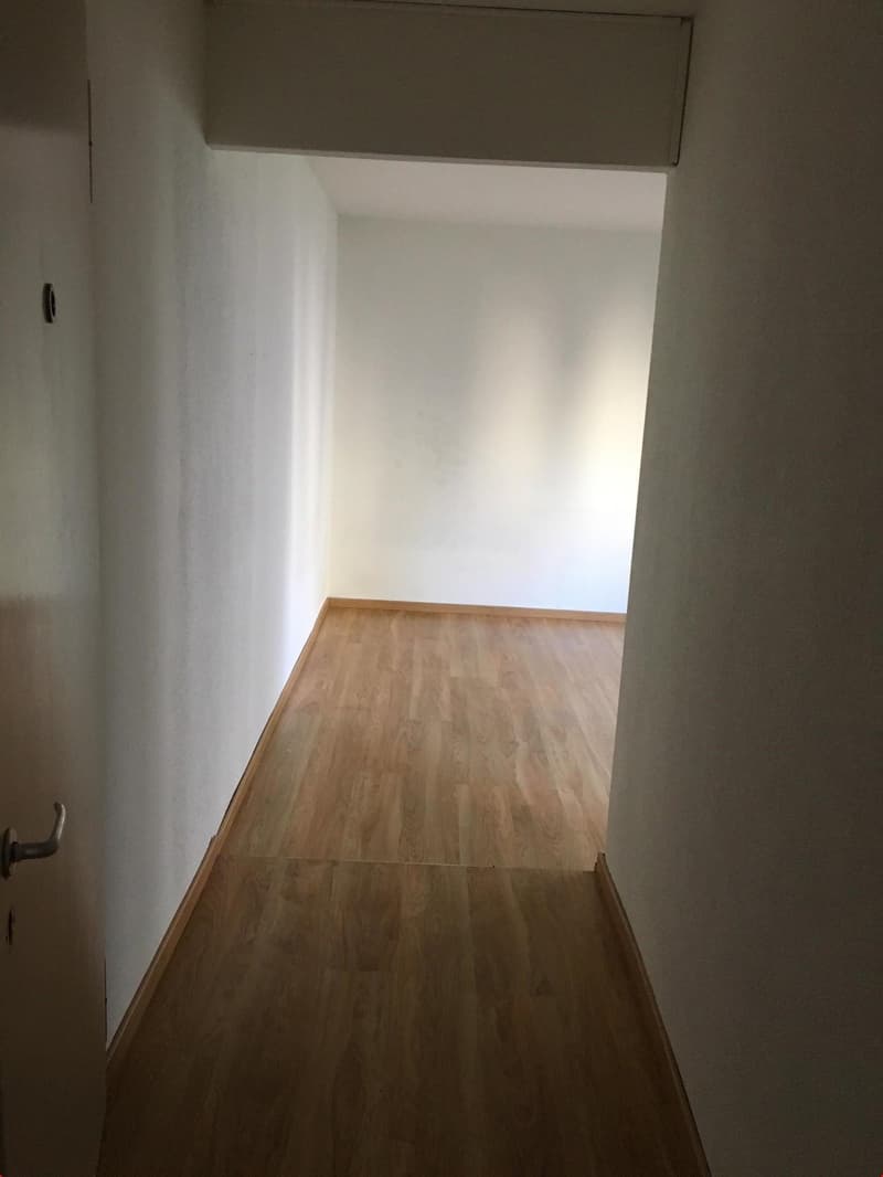 Blick vom Eingangsbereich (mit Einbauschränken) in Richtung Wohnzimmer