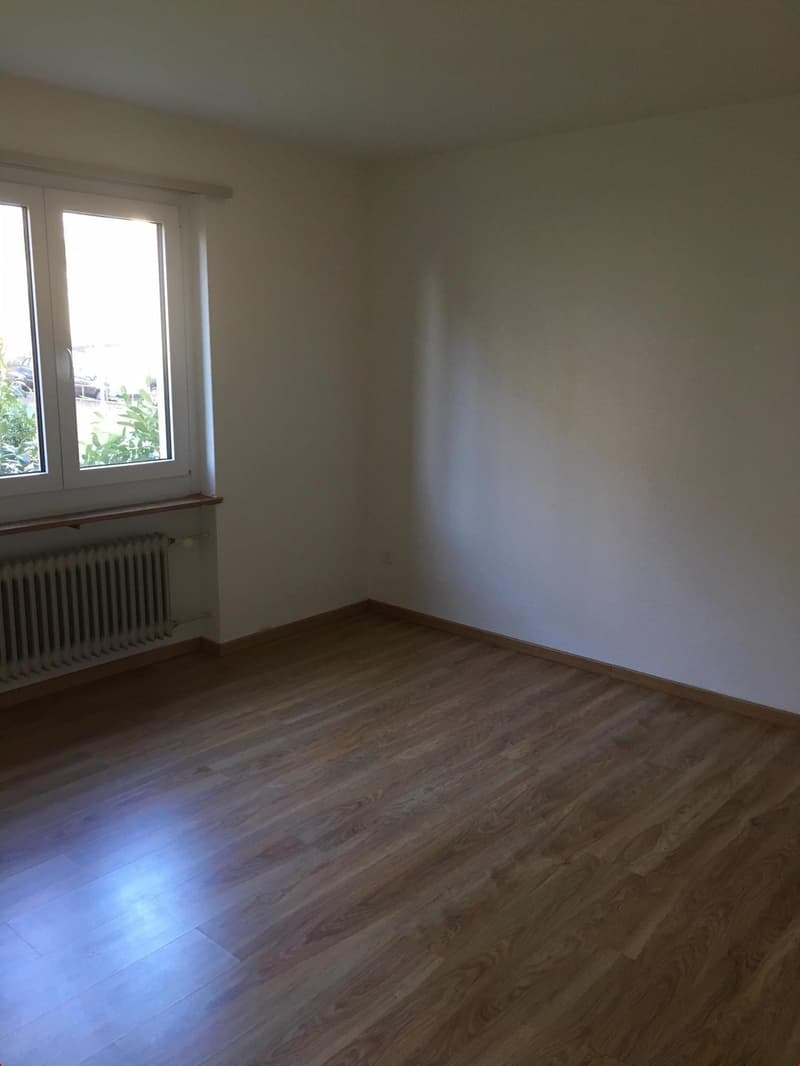 Grosszügiges Schlafzimmer mit schönen Laminat-Parkett