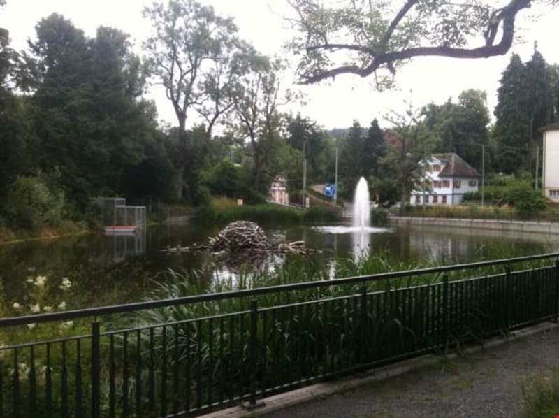 Schöner Weiher mit Fischottern direkt neben dem Haus