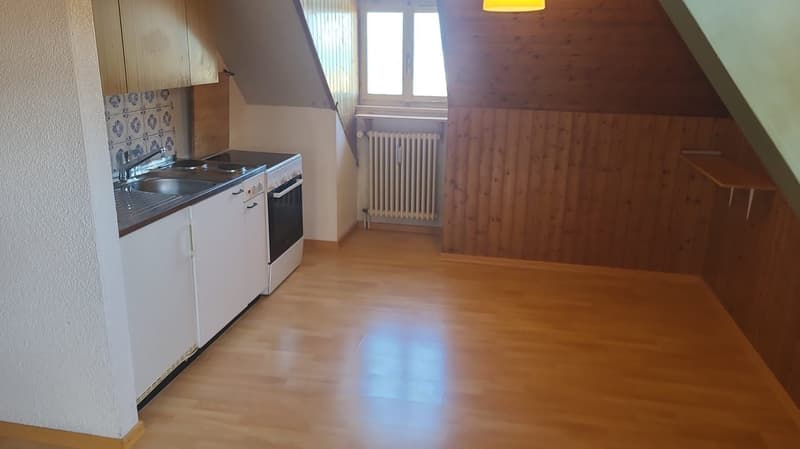 Ab sofort - Grosszügige 1.5 Zi Dachwohnung mit traumhafter Aussicht (17)