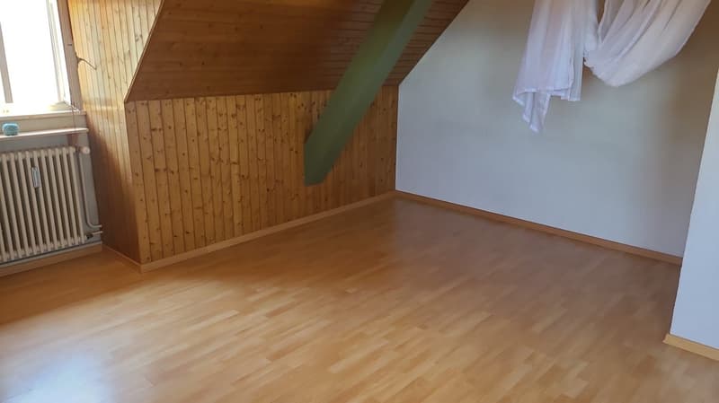 Ab sofort - Grosszügige 1.5 Zi Dachwohnung mit traumhafter Aussicht (23)