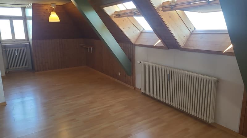 Ab sofort - Grosszügige 1.5 Zi Dachwohnung mit traumhafter Aussicht (24)