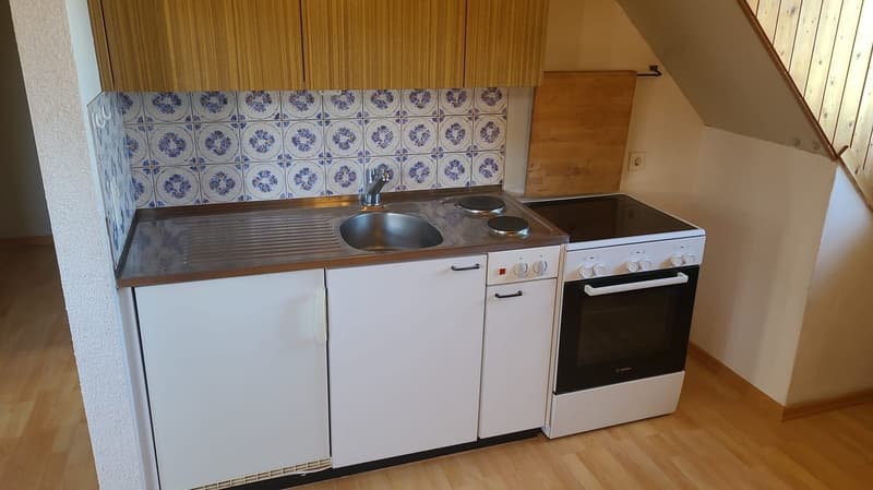 Ab sofort - Grosszügige 1.5 Zi Dachwohnung mit traumhafter Aussicht (18)