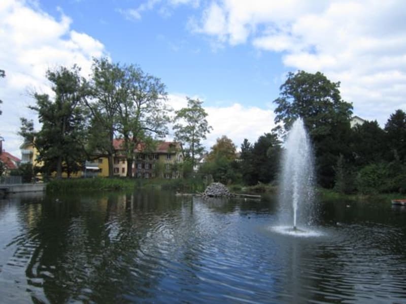 Schöner Weiher mit Fischotter in nächster Nähe