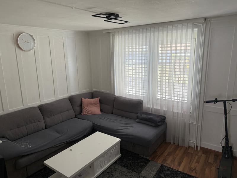 Per 1.7. - Charmante, praktische 3.5 Zi Wohnung (2)