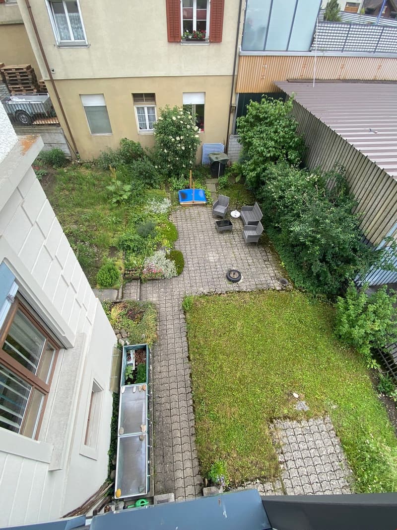Blick in den gemeinschaftlichen Garten (jede Wohnung darf auf ca. 20 m2 selber anpflanzen und gärtnern)
