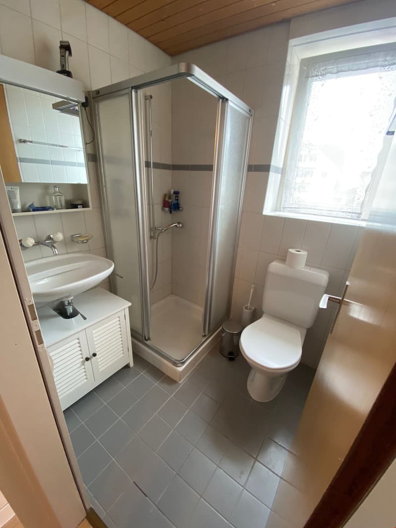 Zweites Badezimmer mit Dusche, WC, Lavabo und Spiegelschrank