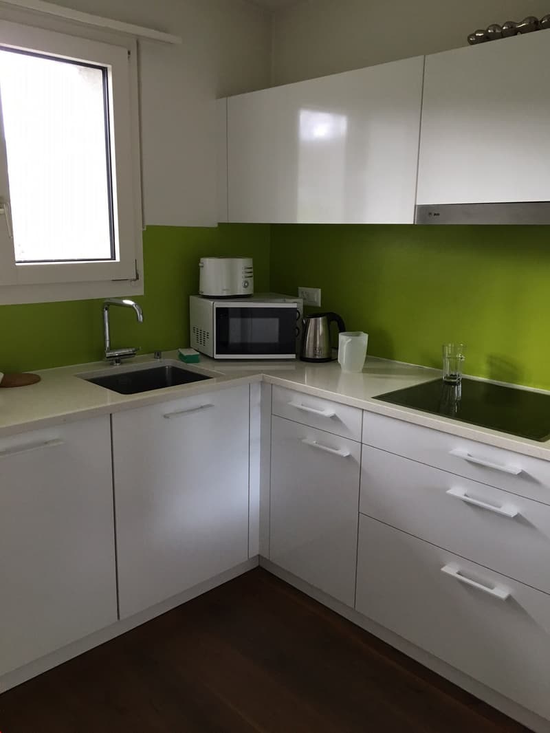 Stylische, moderne Küche mit tollen Geräten und Steinabdeckung