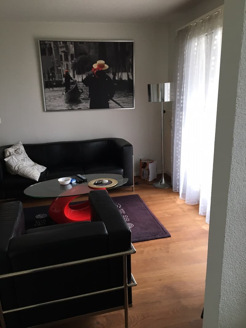 Grosszügiges Wohnzimmer mit direktem Ausgang zum Balkon