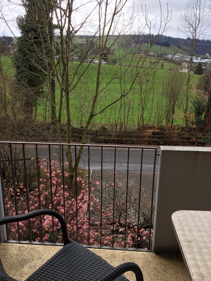 Hübscher Ausblick vom Balkon direkt ins Grüne