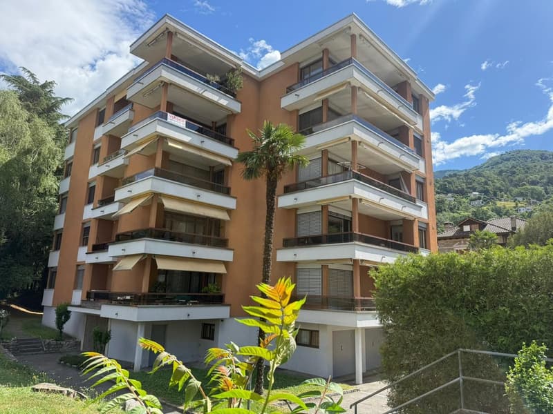 Disponibile ora - fresca di pittura, grande, spazioso appartamento di 4,5 locali con 3 ampi balconi (1)