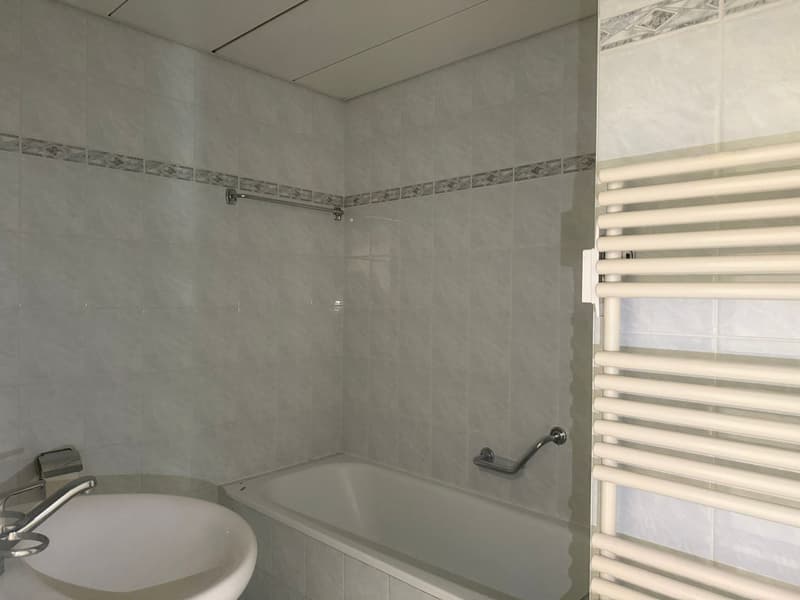 Disponibile ora - fresca di pittura, grande, spazioso appartamento di 4,5 locali con 3 ampi balconi (17)