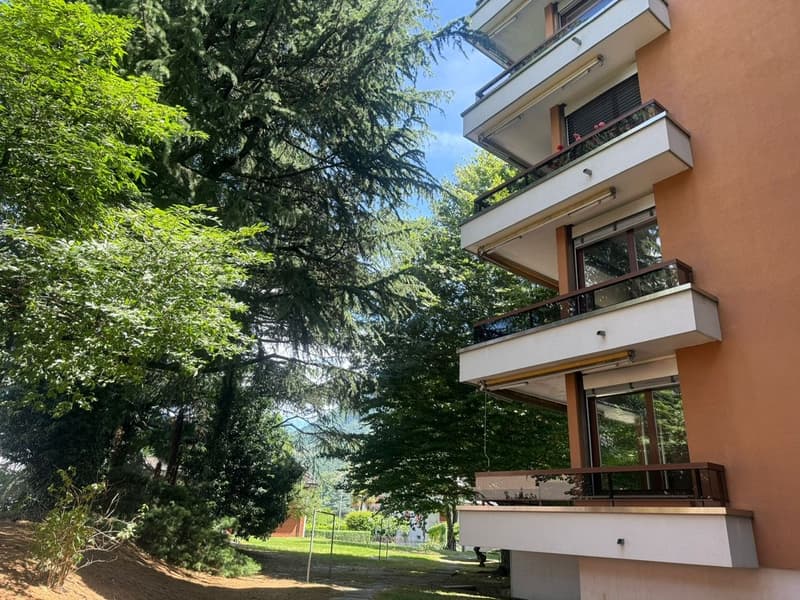 Disponibile ora - fresca di pittura, grande, spazioso appartamento di 4,5 locali con 3 ampi balconi (25)
