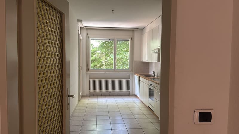 Disponibile ora - fresca di pittura, grande, spazioso appartamento di 4,5 locali con 3 ampi balconi (20)